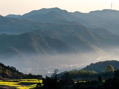 -桑洲油菜花景区