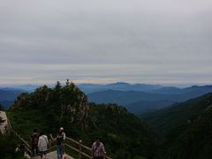 -牛背梁国家森林公园