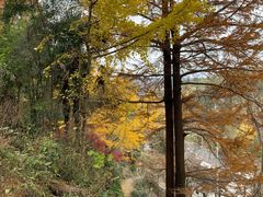 -丹山赤水风景名胜区