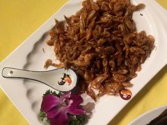 万泉河野生虾-良昌老味·海南老字号