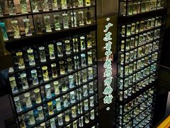 -广东中医药博物馆