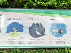 -重庆彩云湖湿地公园