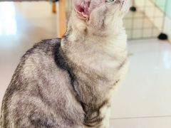 -平行世界·猫咖(首经贸店)