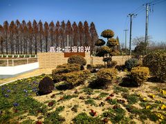 -嘉北郊野公园