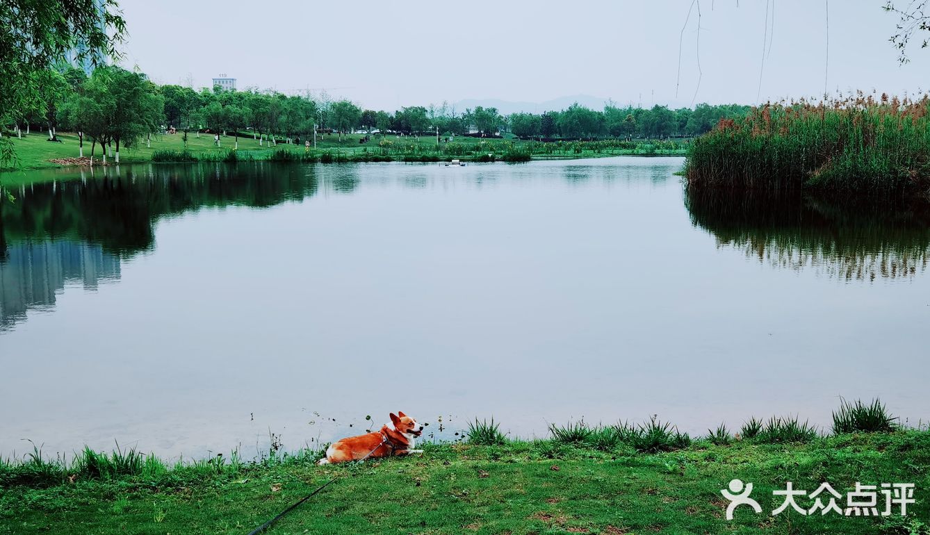 春天怎可不出去野餐煮茶呢？