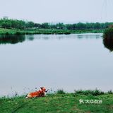 春天怎可不出去野餐煮茶呢？