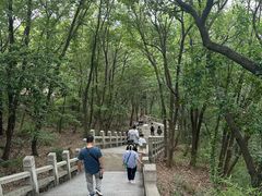-灵岩山风景区