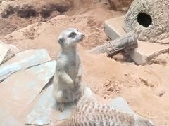 -昆明动物园