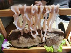 -渝味晓宇火锅(合川路店)