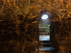 -斯多格书乡(北京大学畅春园店)