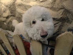 -MOJO密室逃脱(中街旗舰店)