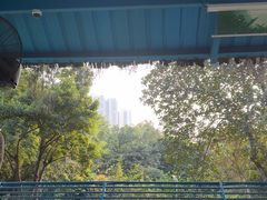 -广州长隆飞鸟乐园