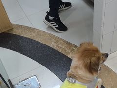 -芭比堂动物医院(广州爱宠下渡路分院)