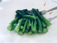 -食神鱼头佛跳墙(百子湾旗舰店)