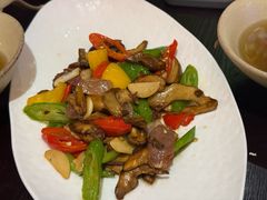 -滇野云南野生菌餐厅(陕西南路店)