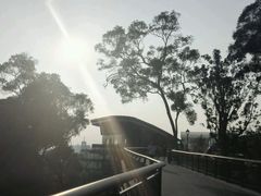 android_upload_pic-金鸡山公园
