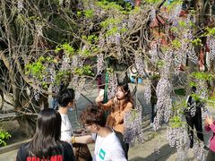 -北京国子监胡同