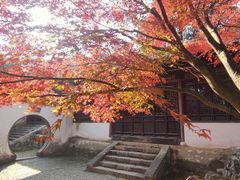 -无锡惠山寺