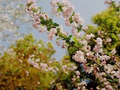 -杭州半山国家森林公园