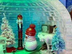 -郑州银基冰雪世界