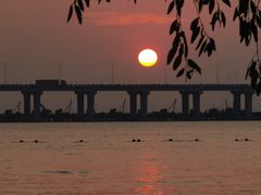 -宝安西湾红树林湿地公园