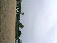 -长洲岛都市农业公园