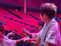 -珠海横琴长隆《卡卡虎奇遇记》