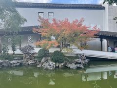 -秋霞圃