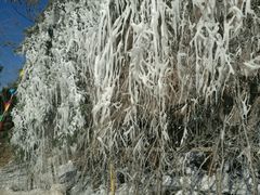 -元宝山滑雪场