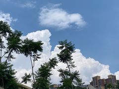 -成都动物园