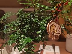 -CURRY YA 熟成咖哩專門店(深圳湾万象城店)