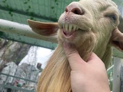 -芜湖方特东方神画