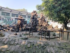 -成都动物园