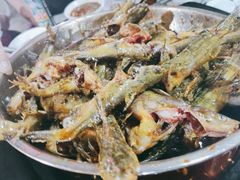 仔鲢-金海椒罐罐鲢鱼(东方桂苑店)