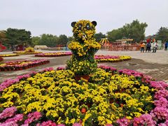-大明幻境第一城