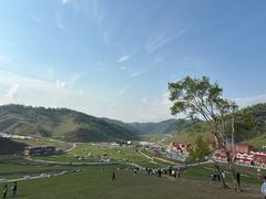 -关山草原