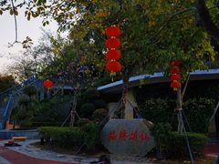 -梧桐山风景名胜区