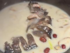 -咕嘟草帽鱼·牛奶一样的鲜鱼汤(天鹅湖万达广场店)
