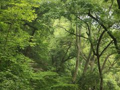 -吴山景区