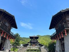 -大唐贡茶院