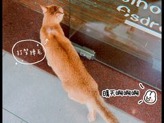 -默迹咖啡馆