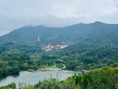 -深圳仙湖植物园