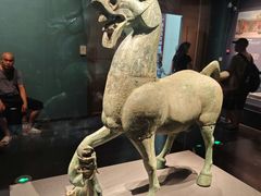 -广西壮族自治区博物馆