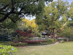 -申粤轩酒楼·三十年粤菜经典(丁香花园店)