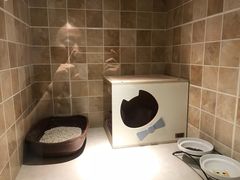 -宠爱国际动物医院· 猫科· 外科·中兽医(长白店)