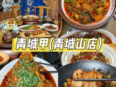 -青城甲(青城山店)