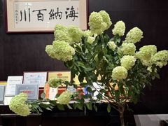 -龙悦湾酒家·八阵鱼生·渔人码头店