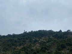 -816工程景区