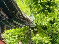-潭柘寺景区