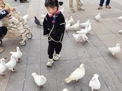 -成都欢乐谷